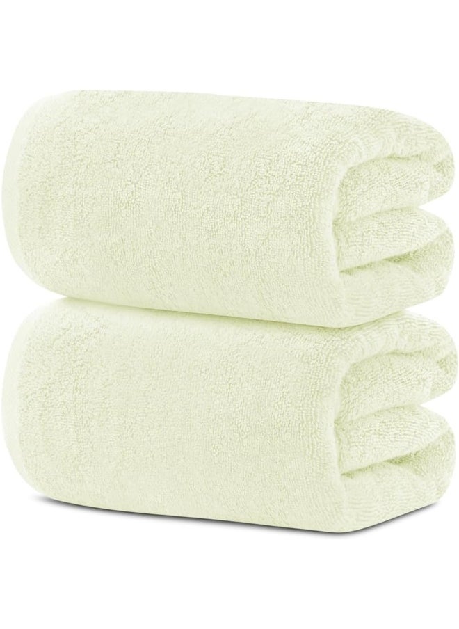 Premium Bath Towels Set Pack of 2 - pzsku/ZFD1902E3059376B5F524Z/45/_/1723793245/072bc9e0-5d50-476f-aee0-54ebc06d5ab8