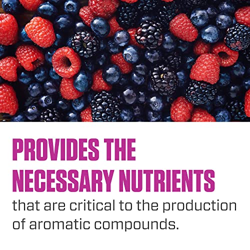 Botanicare Sweet Berry, Supplement for All Phases of Plant Growth, 1 qt. - Image 3