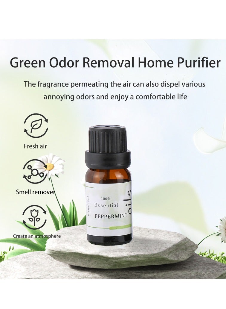 5-piece aromatherapy oil gift box set, transparent 10ml  - Image 3