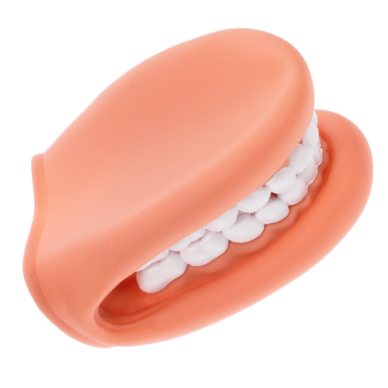 Teeth Model Teaching Teeth Model Brushing Teaching False Teeth Model Artificial Teeth Model Teeth Mouth Model For Brushing Teaching - Image 5