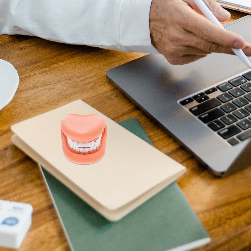 Teeth Model Teaching Teeth Model Brushing Teaching False Teeth Model Artificial Teeth Model Teeth Mouth Model For Brushing Teaching - Image 1