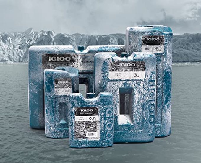 Igloo 12 قطعة أساور ملونة على شكل فراشة للفتيات، مجموعة مجوهرات صداقة مرنة، إكسسوارات تنكرية لحفلات عيد الميلاد والمهرجانات، هدايا مجوهرات تنكرية ممتعة - Image 3