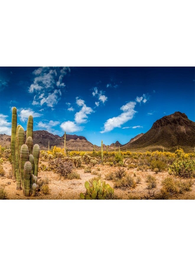 AWERT 60x24 inches Reptile Habitat Background Blue Sky Oasis Cactus Desert Terrarium Background Vinyl - Image 1