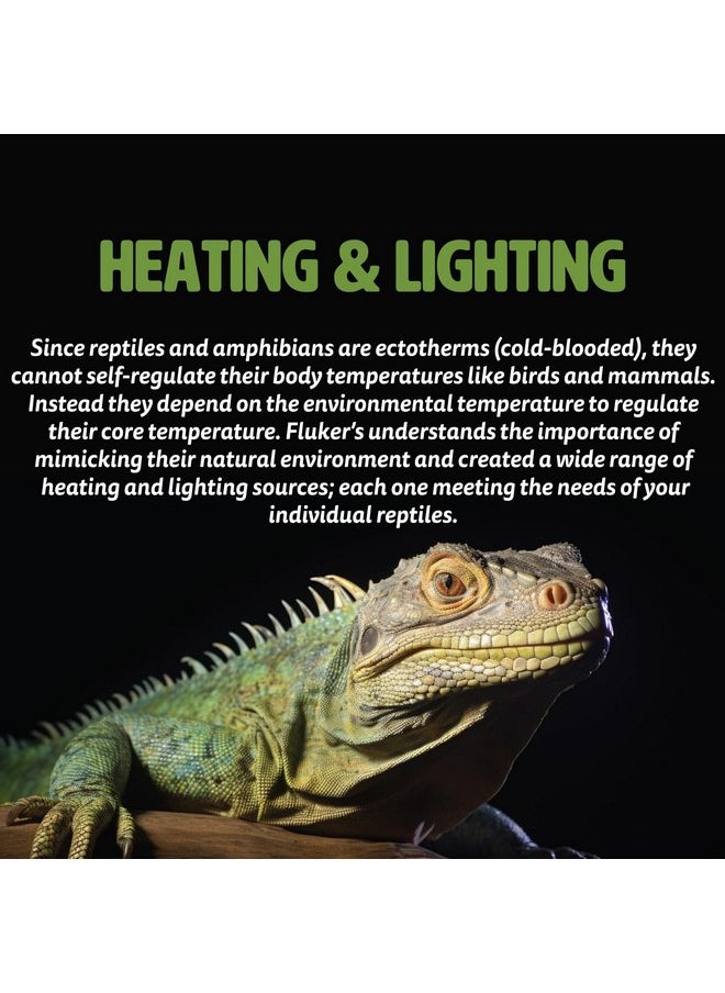 فلكرز - مصباح تسخين الأشعة تحت الحمراء للزواحف من Fluker Night Time Red Basking Spotlight بقوة 75 واط - Image 1