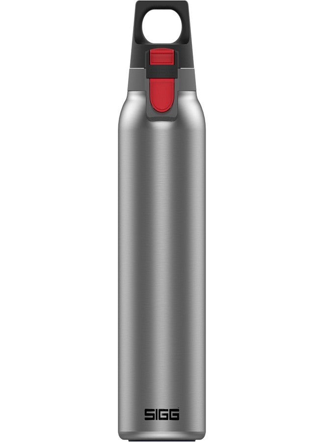 سيج - ترمس معزول حراريًا، ساخن وبارد، مزود بفلتر فواكه - مانع للتسرب - خالٍ من مادة BPA، مصنوع من الفولاذ المقاوم للصدأ 18/8، سعة 19 أونصة - Image 1