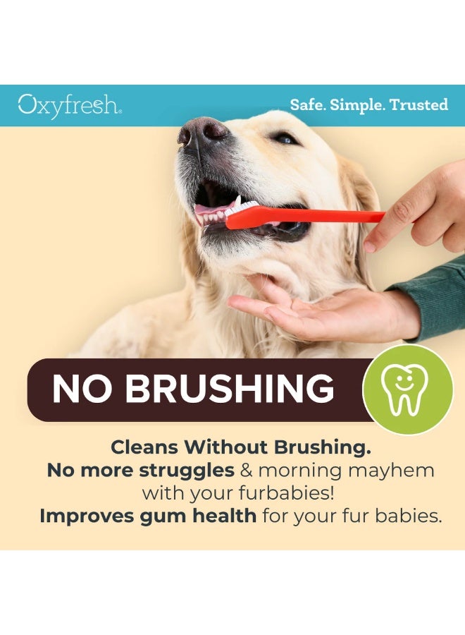 Oxyfresh Pet Dental Water Additive 473ml for Dogs and Cats Breath Freshener Plaque and Tartar Care Pack of 2 - Image 4