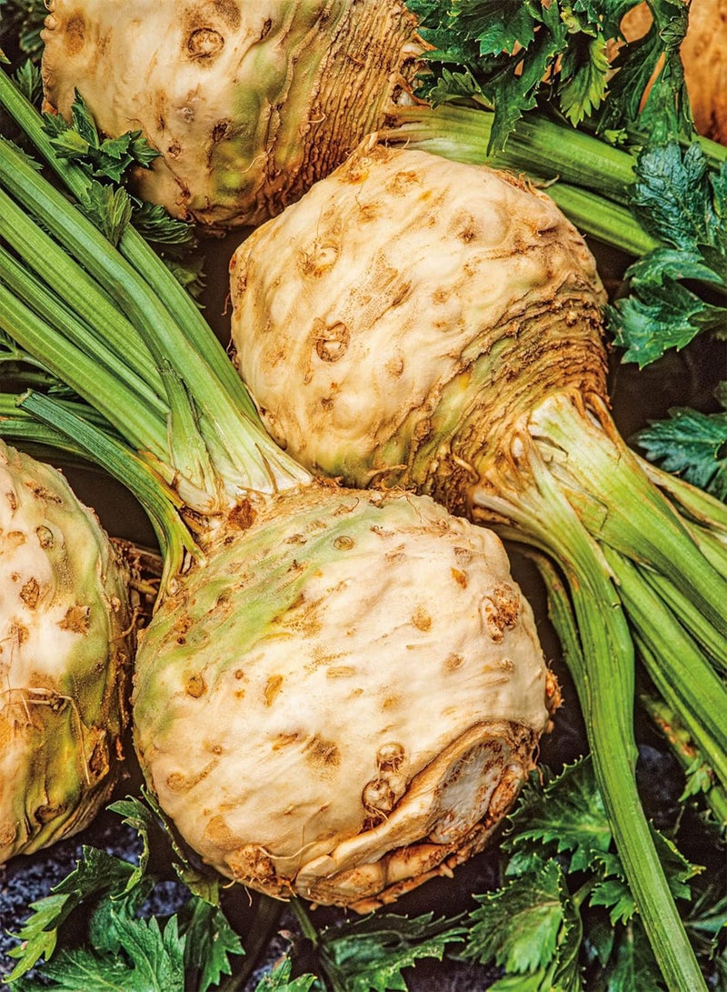GGOOT - Vegetable - Celeriac - Neon F1-250 Seeds - Image 3