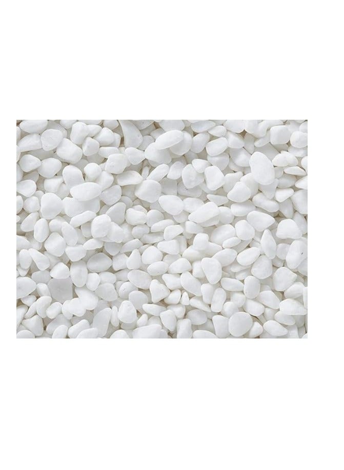 SISON.J Small Pebbles Stones- 1kg (White) 