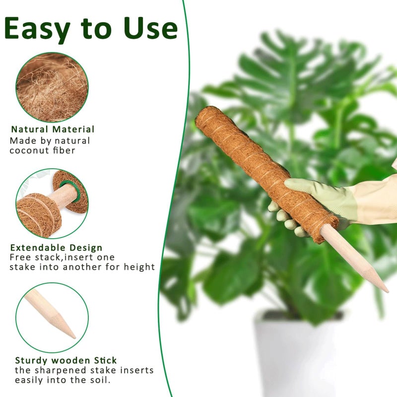 PLANTPOLEX Moss Pole, 2Pack 21 Inch Plant Support Stakes for Indoor Plants, Monstera Plant Support Stakes, 37 Inch Tall Coir Plant Pole Sticks for Potted Plants, Pothos, Philodendron - Image 4