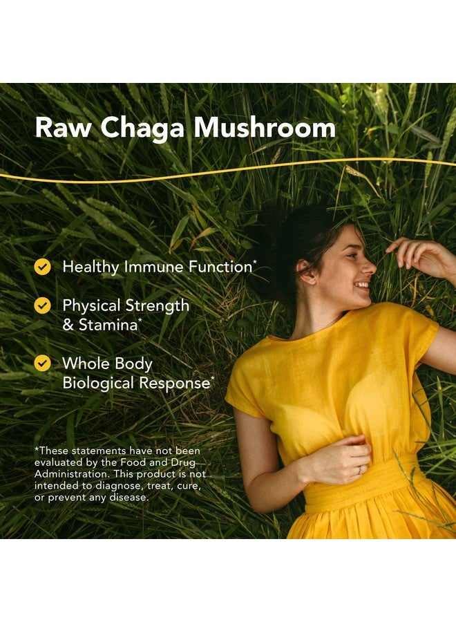 North American Herb & Spice Chagamax 90 Capsules Adaptogen Adrenal Support Endurance & Stamina Chaga Wild Mushroom Supplement Whole Food Herbs Nongmo 90 Total Servings - Image 3