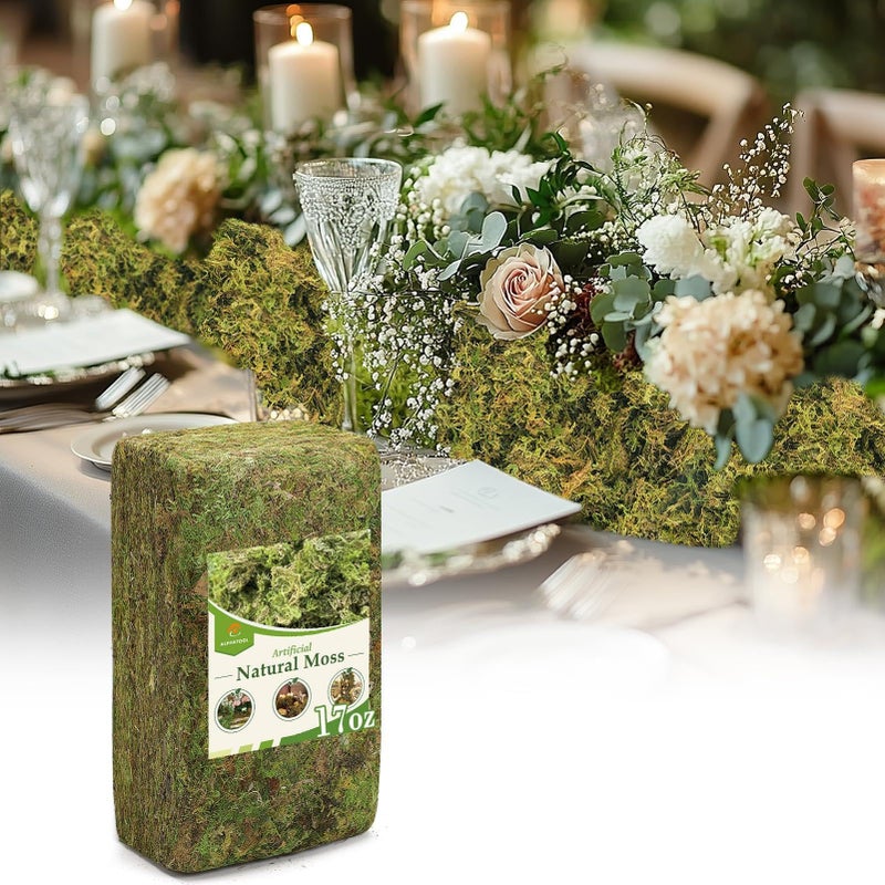 Alphatool Alphatool 17oz Large Pack Natural Green Moss for Crafts  Bulk Moss for Plants Indoor Artificial Fairy Gardens Mosswall Glass Terrariums Filling Fake Plants Home Decoration Professional DIY Use 