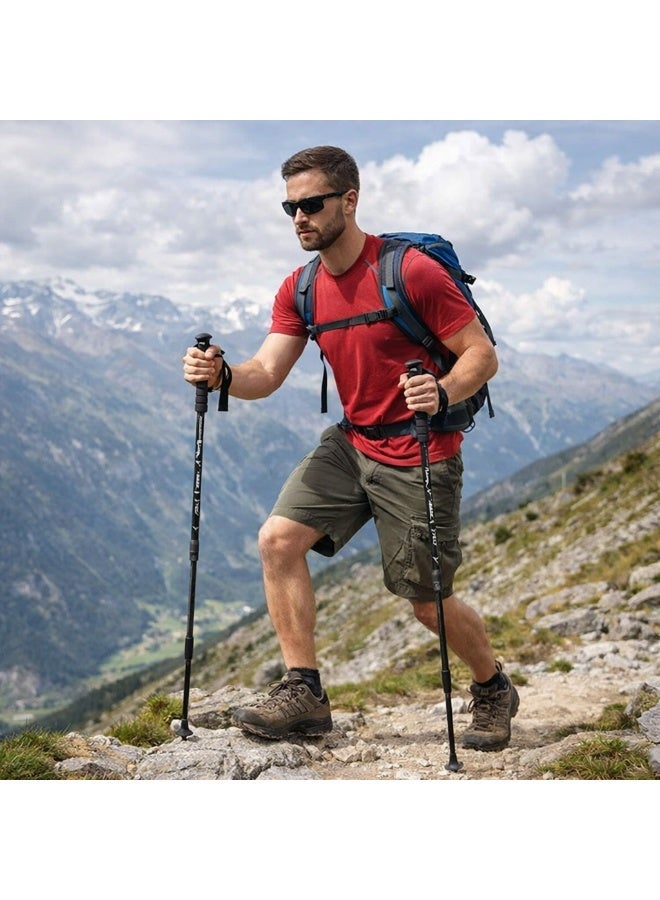 ايرس زوج من عصي المشي لمسافات طويلة – عصي قابلة للطي وتلسكوبية خفيفة الوزن وقابلة للتعديل مع نظام امتصاص الصدمات للرجال والنساء – مثالية للرحلات الجبلية والتخييم وتسلق الجبال وحمل حقائب الظهر - Image 2