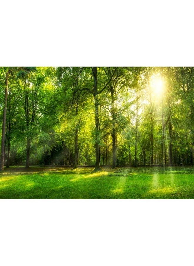 Leowefowa 8X6Ft Spring Backdrop Jungle Forest Trees Backdrops For Photography Sunshine Rays Green Grassland Nature Outdoor Vinyl Photo Background Kids Adults Studio Props  - Image 1