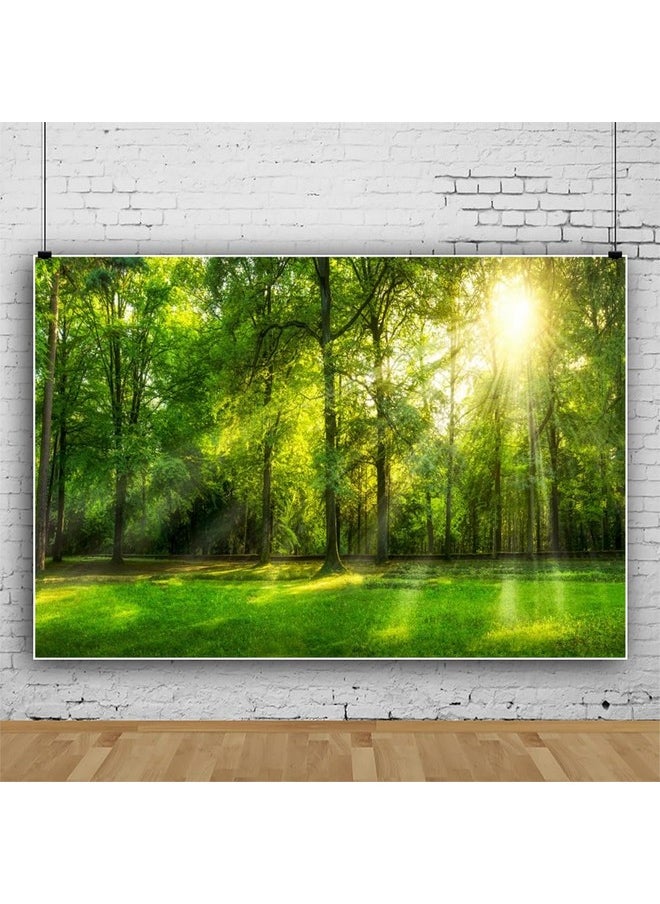 Leowefowa 8X6Ft Spring Backdrop Jungle Forest Trees Backdrops For Photography Sunshine Rays Green Grassland Nature Outdoor Vinyl Photo Background Kids Adults Studio Props  - Image 2