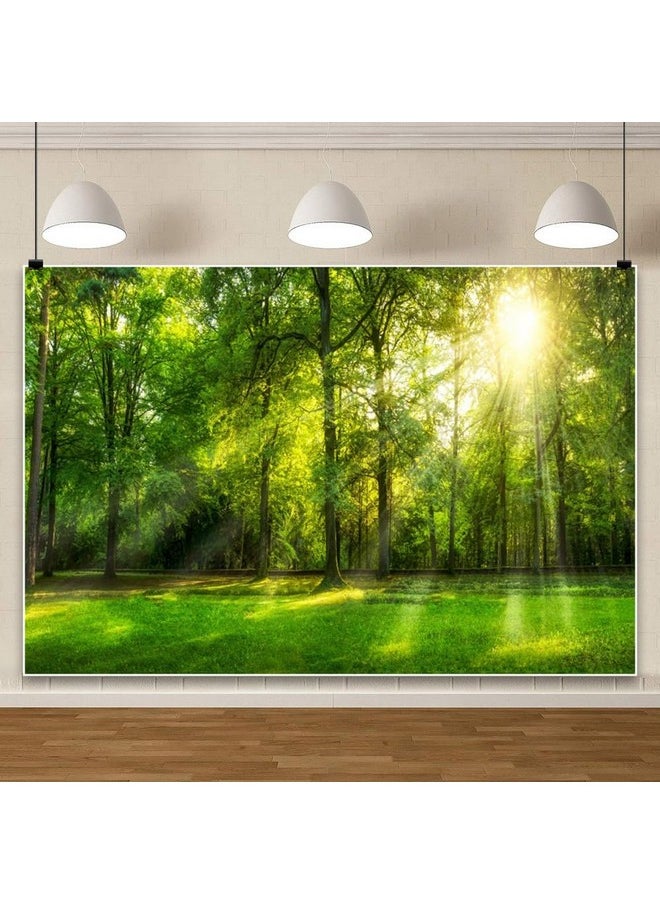 Leowefowa 8X6Ft Spring Backdrop Jungle Forest Trees Backdrops For Photography Sunshine Rays Green Grassland Nature Outdoor Vinyl Photo Background Kids Adults Studio Props  - Image 5