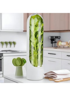 Herb Growth Container For Refrigeration - Promotes Continuous Growth, An Innovative Approach To Storing And Preserving Herbs Like Coriander, Parsley, And Anise, Keeping Vegetables Fresh