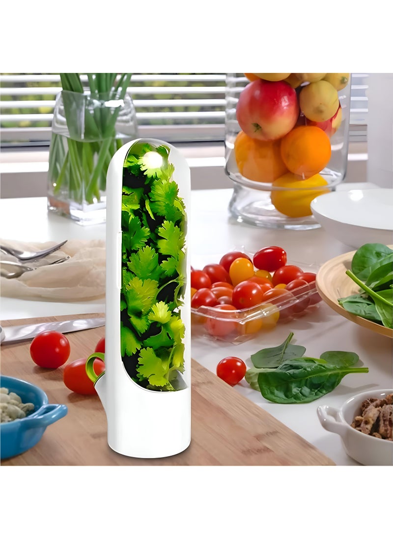 Generic - Herb Growth Container For Refrigeration - Promotes Continuous Growth, An Innovative Approach To Storing And Preserving Herbs Like Coriander, Parsley, And Anise, Keeping Vegetables Fresh - Image 1