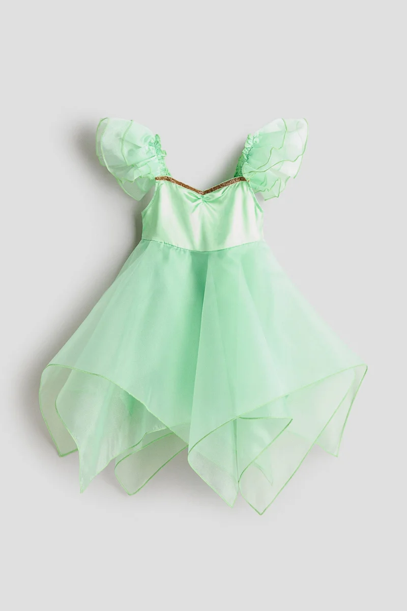 H&M Fairy fancy dress costume