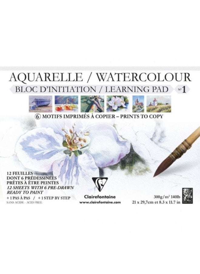 كليرفونتين اسكتش رسم اكوريل