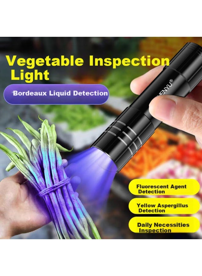 Shenyu Ultraviolet Fluorescent Lamp Detector, Wood's 365nm Light For Currency And Jade Professional atio - Image 5