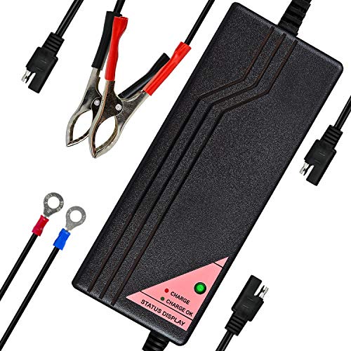 ExpertPower 12V 5A Smart Charger for Lithium LiFePO4 Deep Cycle Rechargeable Batteries - Image 1