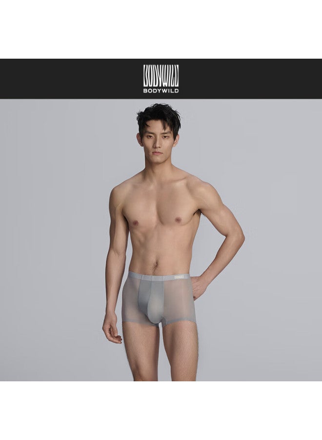 Bodywild Men's Underwear [2-pack], Cool-feeling Mesh Boxer Briefs Zbn23cv1-4xl