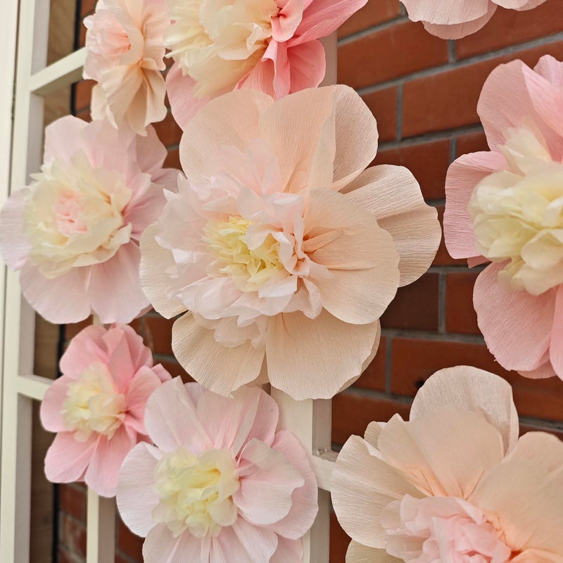 Mybbshower Crepe Paper Flower for Wall Psprt Pom Pom Decor Girls Birthday Party Backdrop Baby Shower Nursery Room Decoration Pack of 9 (Pink Blush Peach) - Image 3