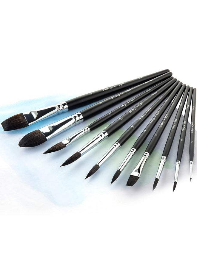 Falling In art 10Pcs Soft Squirrel Hair Paint Brushes - Professional Watercolor Brush Set With Short Handles - Round, Flat, Dagger, Oval Wash For Watercolor And Gouache Painting  - Image 1