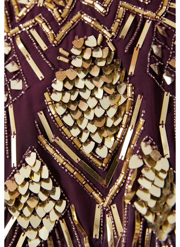 Amri Cape Bodice Embellished Flared Dress