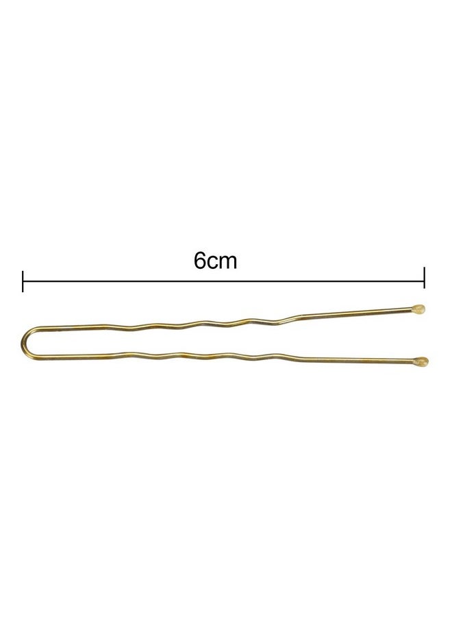 300 Bun Hair Bobby Pins U Shaped Pin With Box Hair Grips To Clip Ballet Hair Net For Women 6 Cm/2.3 Inch Golden - pzsku/ZFD32B66DFDFD550FED7DZ/45/_/1720697002/480dec9d-8621-4328-83ae-89a52b4d24d5