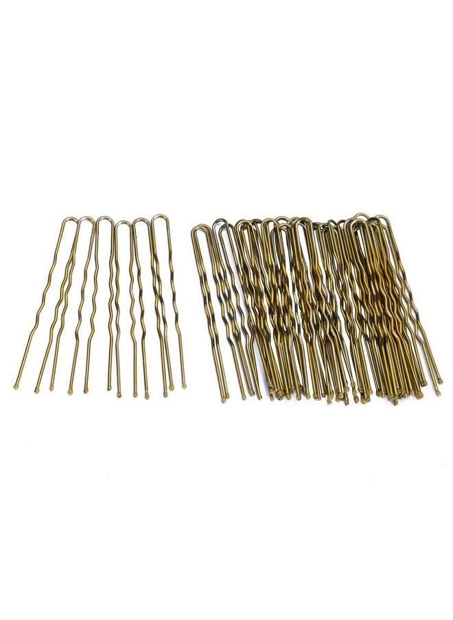 300 Bun Hair Bobby Pins U Shaped Pin With Box Hair Grips To Clip Ballet Hair Net For Women 6 Cm/2.3 Inch Golden - pzsku/ZFD32B66DFDFD550FED7DZ/45/_/1720697003/45286c1c-fc93-4fe7-b30b-e85a46417cf7