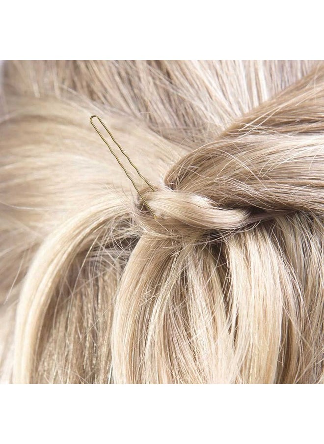 300 Bun Hair Bobby Pins U Shaped Pin With Box Hair Grips To Clip Ballet Hair Net For Women 6 Cm/2.3 Inch Golden - pzsku/ZFD32B66DFDFD550FED7DZ/45/_/1720697008/7bae2058-544e-4fa0-a53b-004535b10021