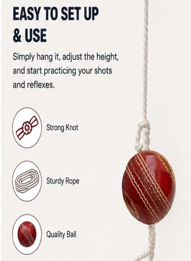 AnNafi Hanging Ball for Cricket Practice, Knocking & Training | Season Ball With Rope | Made in India | Sports Leather Match Practice Red Cricket Ball (2) - Image 4