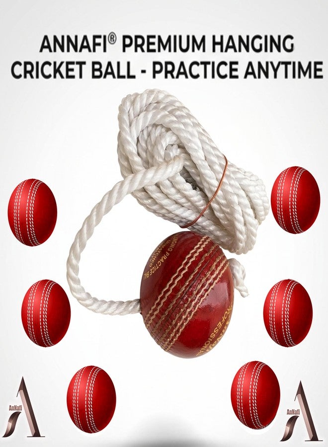 AnNafi Hanging Ball for Cricket Practice, Knocking & Training | Season Ball With Rope | Made in India | Sports Leather Match Practice Red Cricket Ball (2) - Image 3