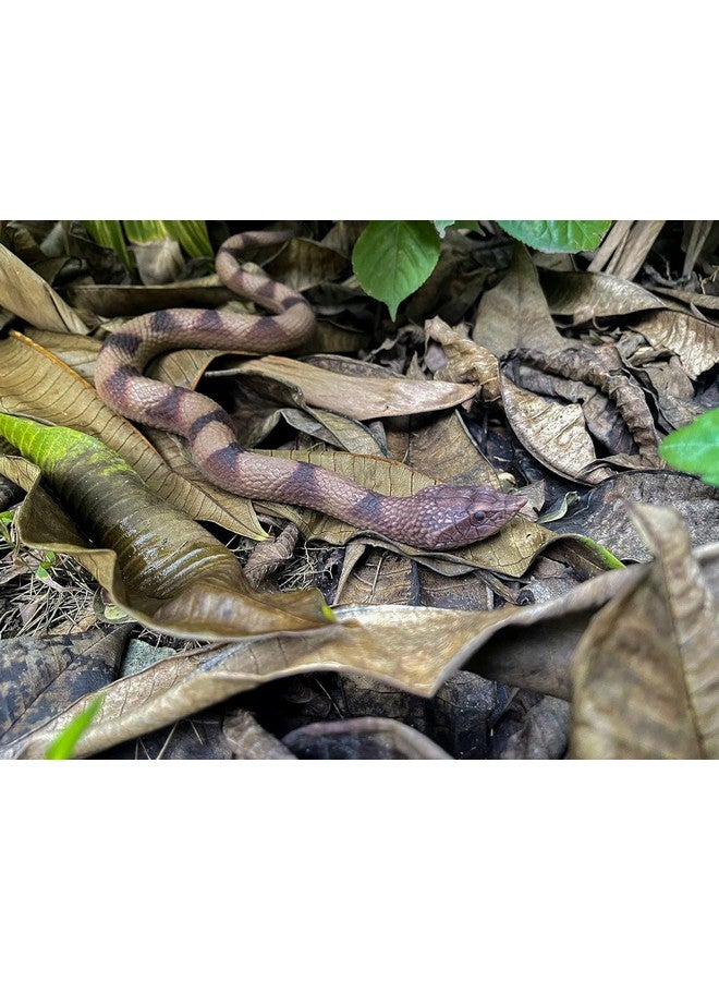 SUPER TOY Snake Toy for Kids Realistic Rubber Snake Prank Toy Plastic Fake Snake for Fun Scary Toys for Pranks Durable Toy Snake for Outdoor Play Snake Toys for Parties and Decorations - Image 2