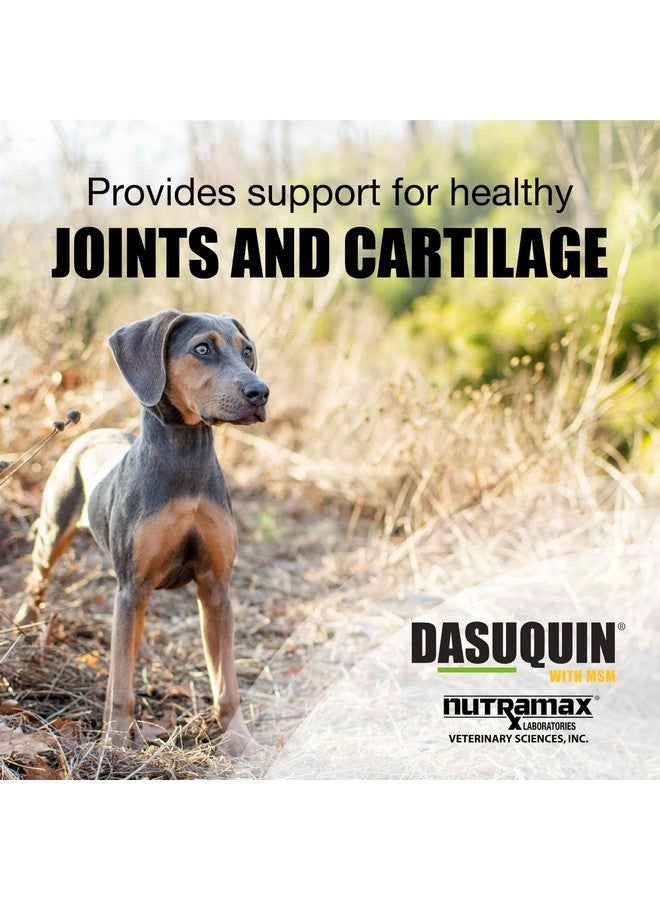 Nutramax Laboratories Nutramax Dasuquin with MSM Joint Health Supplement for Small to Medium Dogs - With Glucosamine, MSM, Chondroitin, ASU, Boswellia Serrata Extract, and Green Tea Extract, 84 Chewable Tablets(Pack of 1) - Image 2