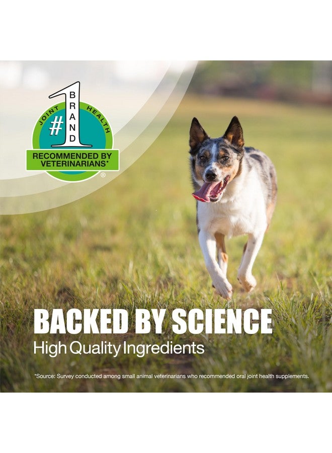 Nutramax Laboratories Nutramax Dasuquin with MSM Joint Health Supplement for Small to Medium Dogs - With Glucosamine, MSM, Chondroitin, ASU, Boswellia Serrata Extract, and Green Tea Extract, 84 Chewable Tablets(Pack of 1) - Image 4