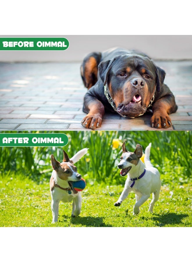Oimmal Herbal De-Wormer with Probiotics for Dogs 60ml, Helps With Improve Digestion, Nutrient Absorption, Immunity Boost, Broad Spectrum Hook 100% Natural Dog Deworming Drops Easy Feeding with Bacon Flavour - Image 3