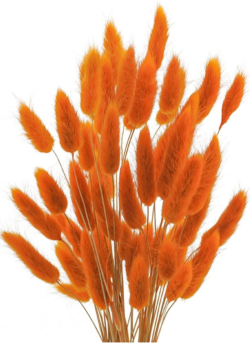 Excefore Natural Bunny Tails Dried Flowers, 60 Pcs Dried Lagurus Ovatus, Dried Pampas Grass Decor for Farmhouse Flower Arrangements Wedding Home Boho Party Decorations(Orange)  - Image 1