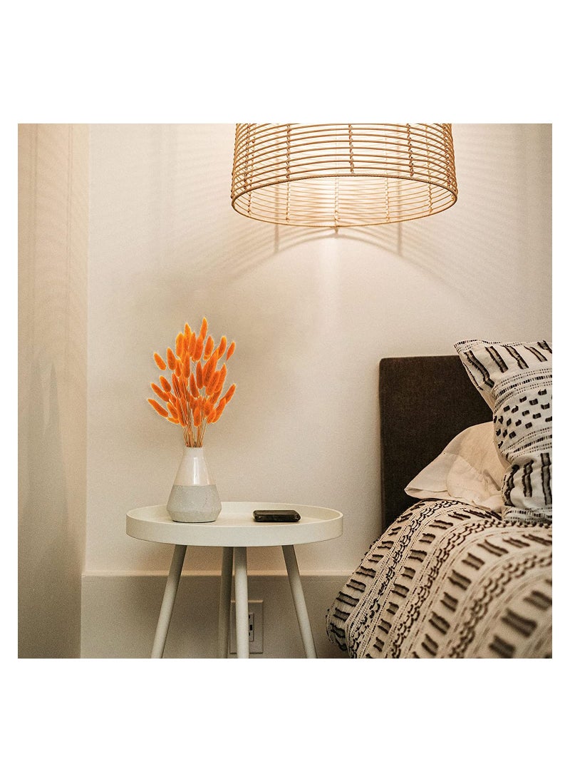 Excefore Natural Bunny Tails Dried Flowers, 60 Pcs Dried Lagurus Ovatus, Dried Pampas Grass Decor for Farmhouse Flower Arrangements Wedding Home Boho Party Decorations(Orange)  - Image 4