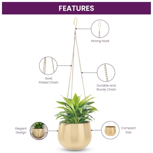 DecorTwist® Hanging Planter 3.7 Inch Pack of 1 | Metal Planter Indoor Outdoor Hanging Baskets | Hanging Flower Pot with Chain for Balcony Living Room Plant Hangers for Home Garden Decor (Gold) - Image 4