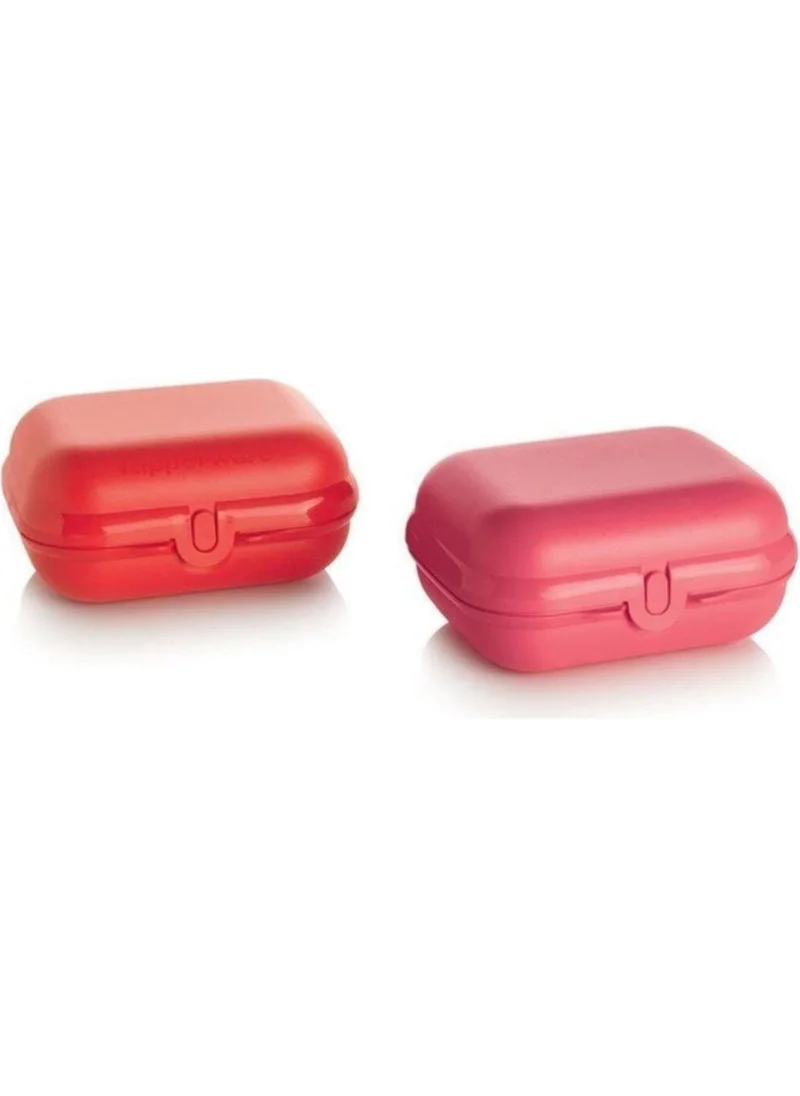 Tupperware Oyster Red Pink Set of 2 Lunch Box