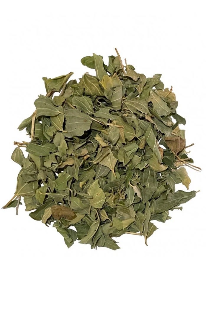 عشبات ورق السدر طبيعي 100% - 150 جرام - Image 2