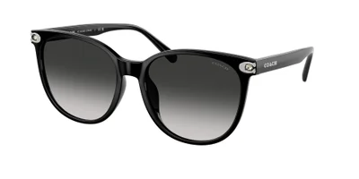 كوتش COACH Women's Sunglasses