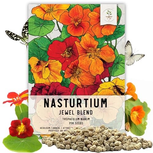 Seed Needs Nasturtium Seeds Jewel Mix Multicolored Edible Flowers | 1.5 Ounce 350+ Seeds Tropaeolum Nanum Annual Flower Seed Mix | Bulk Jewel Nasturtiums for The Garden - Image 1