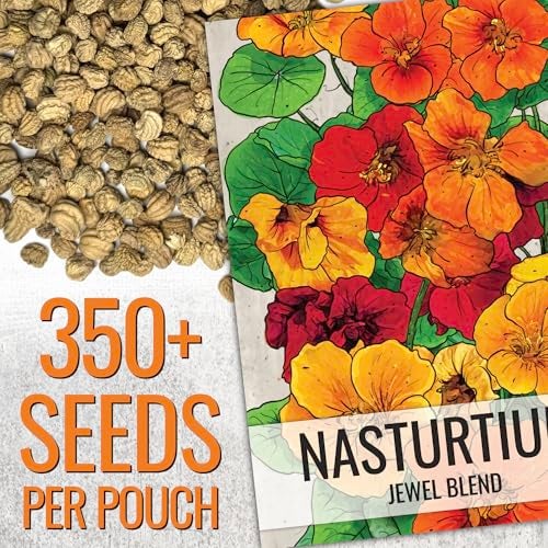 Seed Needs Nasturtium Seeds Jewel Mix Multicolored Edible Flowers | 1.5 Ounce 350+ Seeds Tropaeolum Nanum Annual Flower Seed Mix | Bulk Jewel Nasturtiums for The Garden - Image 2