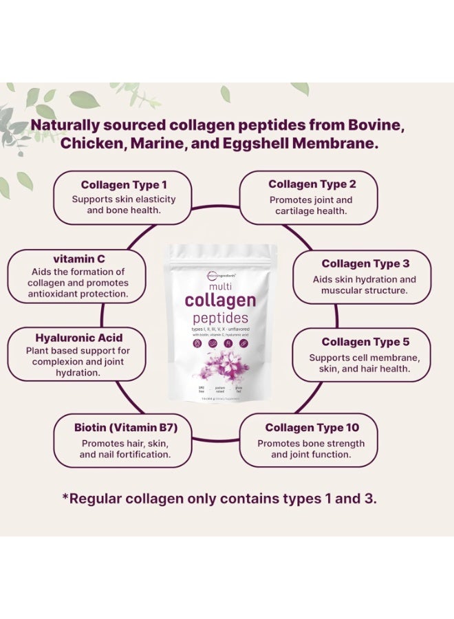 Micro Ingredients Original Multi Collagen Peptides Powder, 1 Pound (16 Ounce) - Type I,II,III,V,X with Biotin 10,000mcg, Hyaluronic Acid, Vitamin C - Unflavored - Keto & Paleo Friendly, Easy Dissolve, Non-GMO, Gluten Free - Packs - Image 3