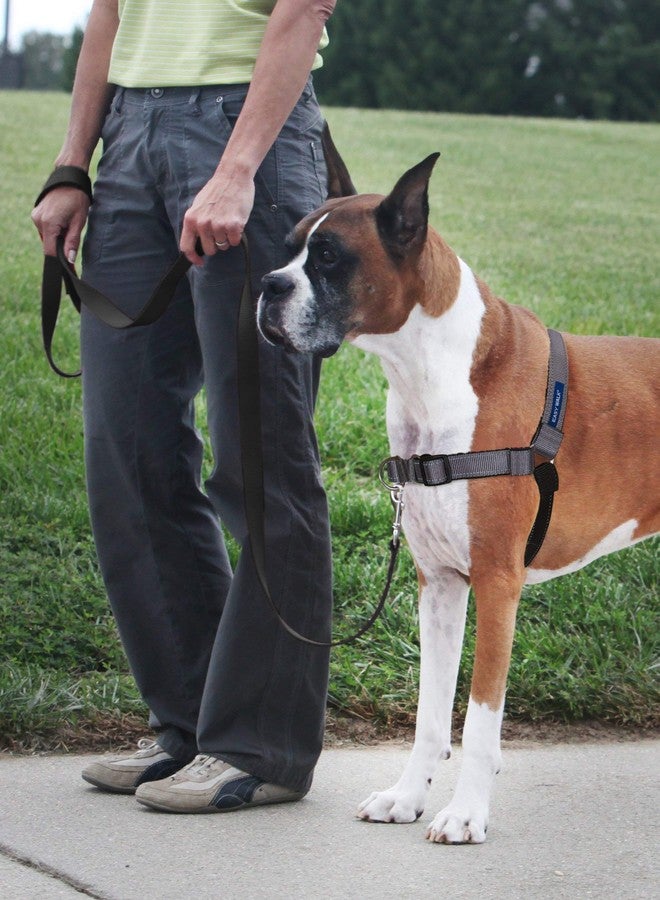 بيت سيف سرج PetSafe Easy Walk Deluxe للكلاب، سرج مانع للشد - مثالي لتدريب الكلاب على المقود والسرج - يمنع الحيوانات الأليفة من الشد والاختناق أثناء المشي - كبير، مصنوع من الفولاذ - Image 2