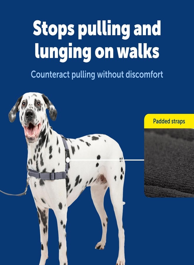 بيت سيف سرج PetSafe Easy Walk Deluxe للكلاب، سرج مانع للشد - مثالي لتدريب الكلاب على المقود والسرج - يمنع الحيوانات الأليفة من الشد والاختناق أثناء المشي - كبير، مصنوع من الفولاذ - Image 5