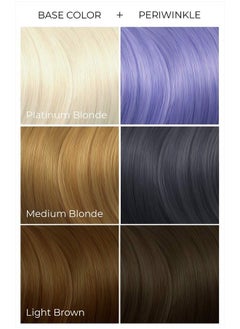 ARCTIC FOX Vegan and Cruelty-Free Semi-Permanent Hair Color Dye (8 Fl Oz, PERIWINKLE)  - Image 2
